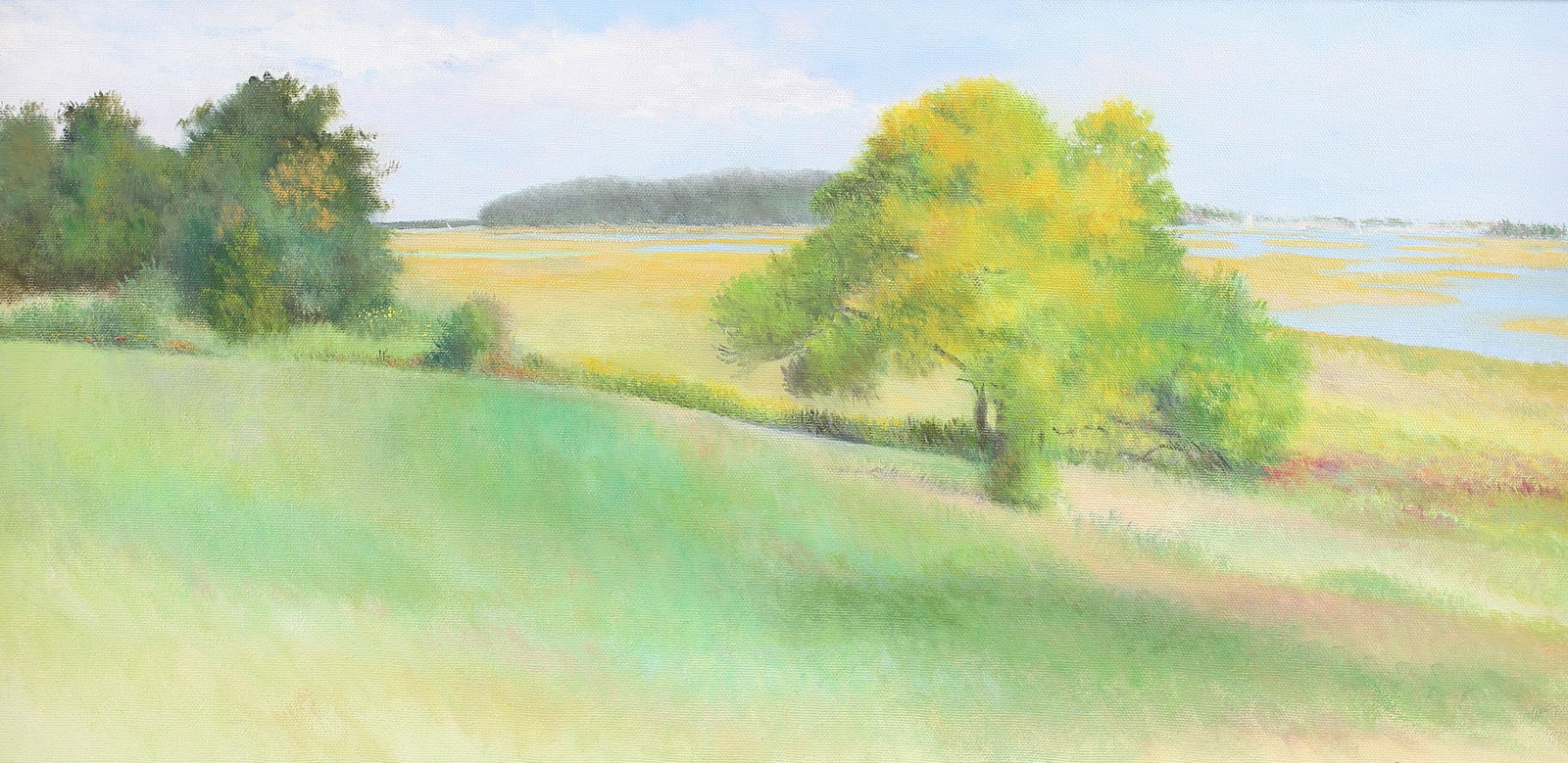 Row Selman (Am. 20th/21st Cent.), Glowing Day on the Marshes, oil on canvas: Glowing Day on the Marshes, oil on canvas, 12 x 23, signed lower right: Selman, Selman’s luminous scene was painted in Essex, Massachusetts. A plein air painter, Selman is known for her landscapes a