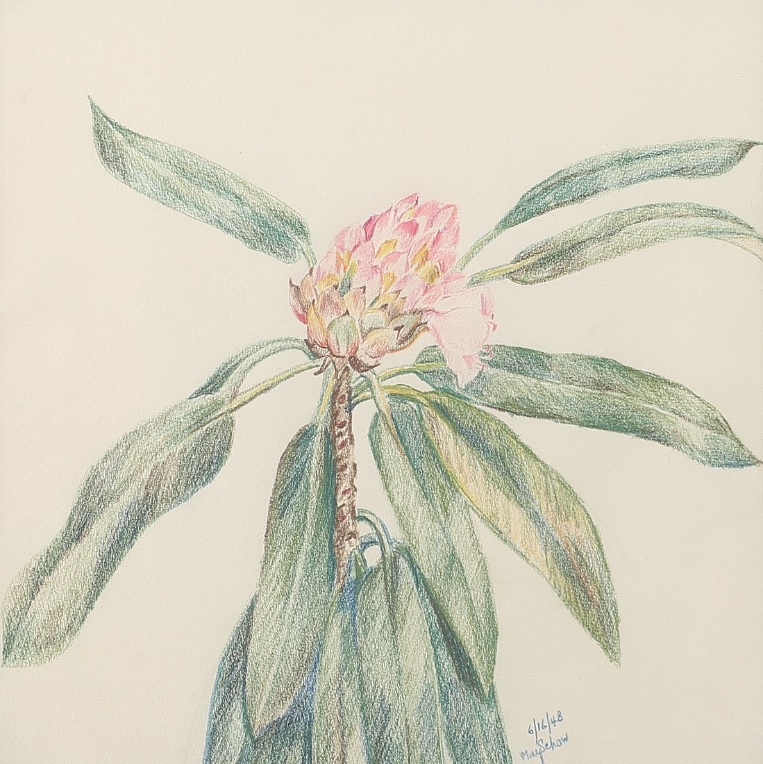 May Schow (Am. 1895-1976), Still Life, 1948, pastel on paper: Still Life, 1948, pastel on paper, 11 1/2 x 11 1/2, signed lower right: 6/16/48, May Schow, Schow’s floral still life images are rendered in Realist simplicity, an underlying characteristic across h