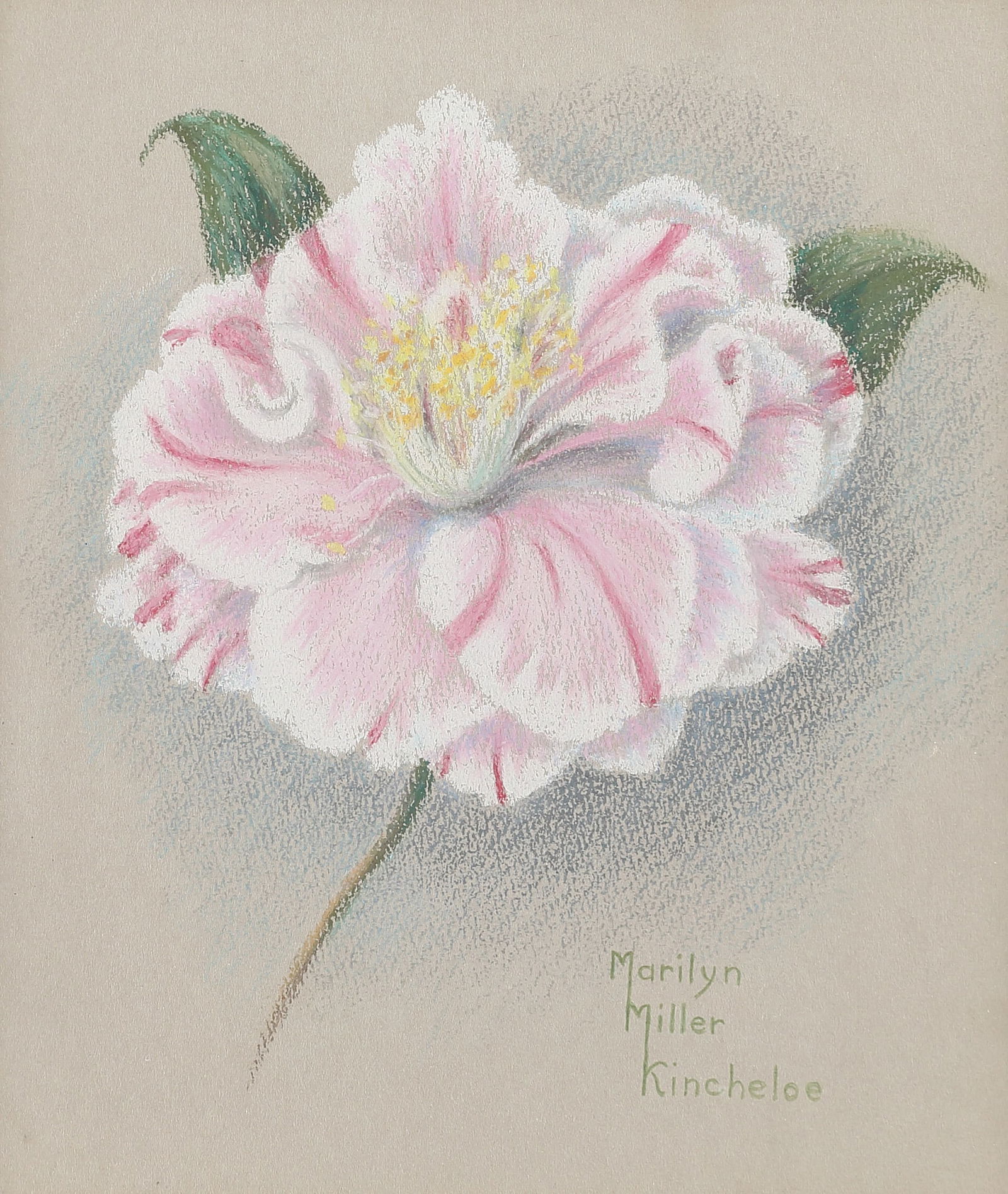 Marilyn Miller Kincheloe (Am. 1911-1999), A Flower I, pastel on paper: A Flower I, pastel on paper, 9 5/8 x 8 3/8, signed lower right: Marilyn Miller Kincheloe, Kincheloe created naturalistic and detailed depictions of plant. Her floral images maintain an emphasis on the