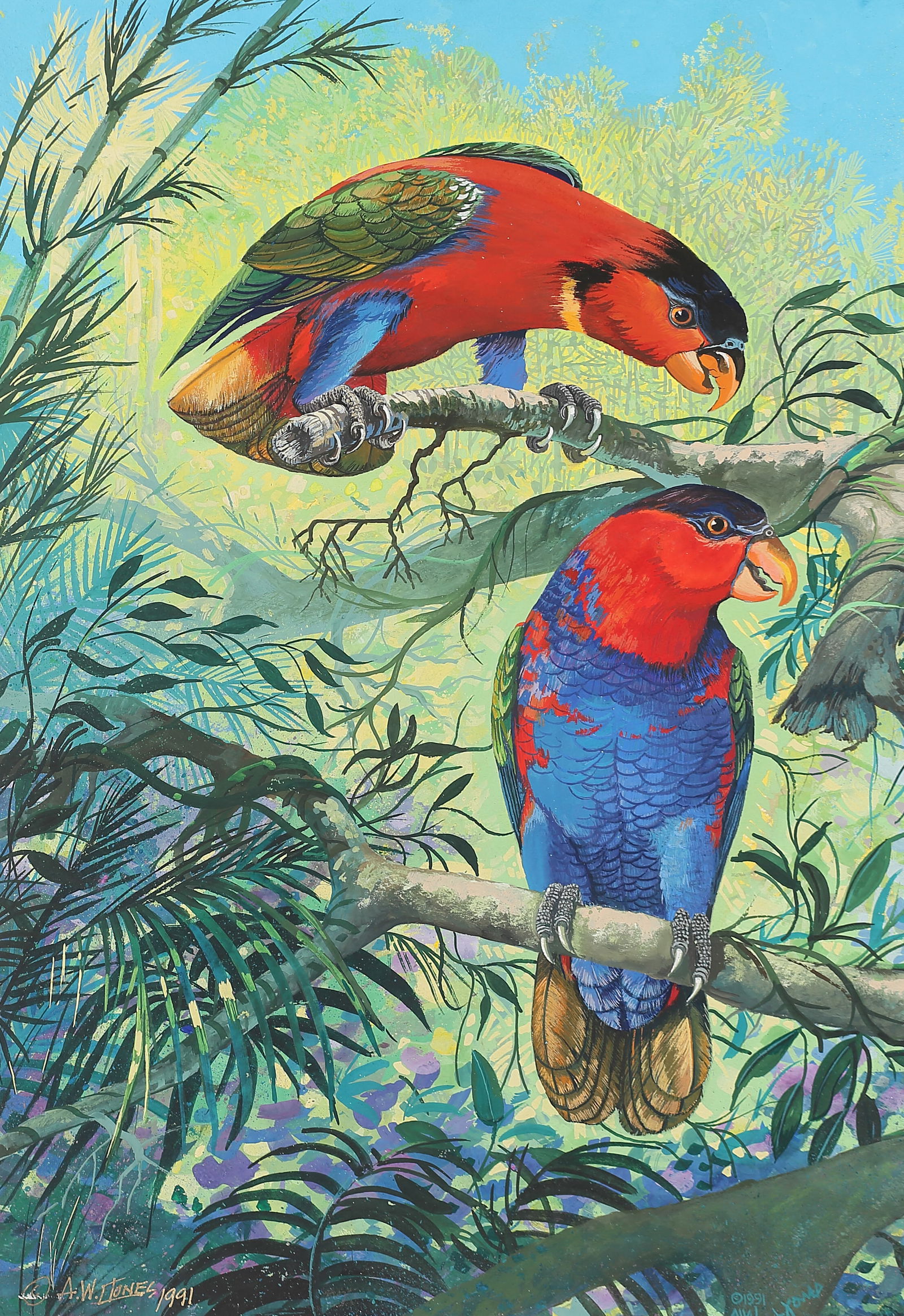 Albert Westbrooke Jones (Am. 20th Cent.), Red and Blue Parrots, 1991, mixed media on paper (1 of 1)