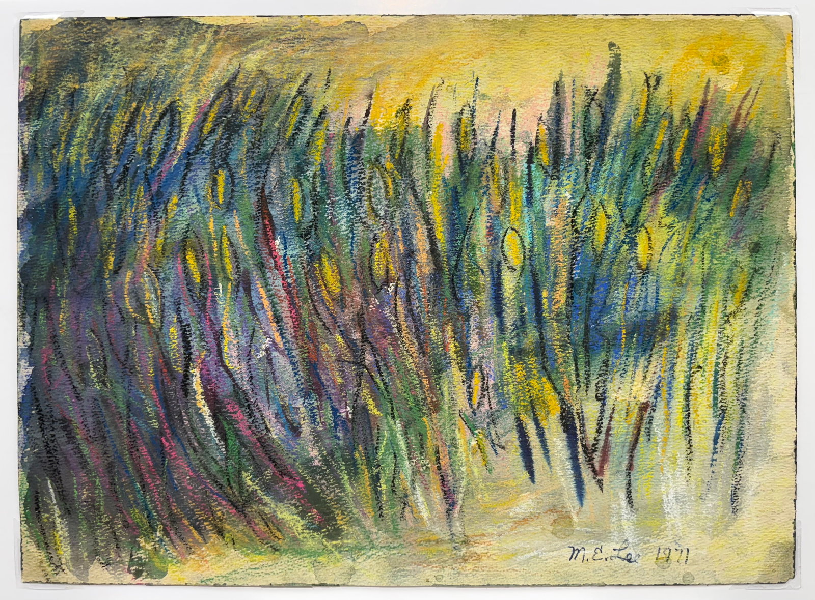 Marjorie Johnson Lee (Am. 1911-1997), Flowers in the Setting Sun (1 of 1)