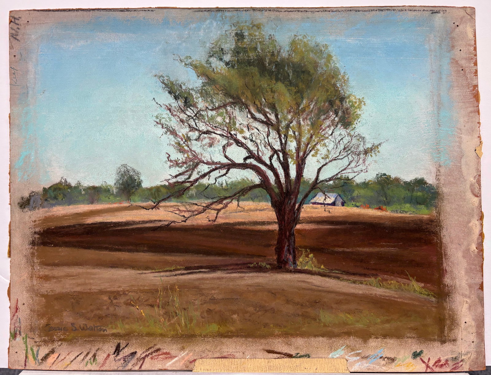 Jessie Walton (Am. 1904-1993), Set of Two Works: (a) Farm with Tree, Summer 1954, pastel on paer 8 (1 of 2)