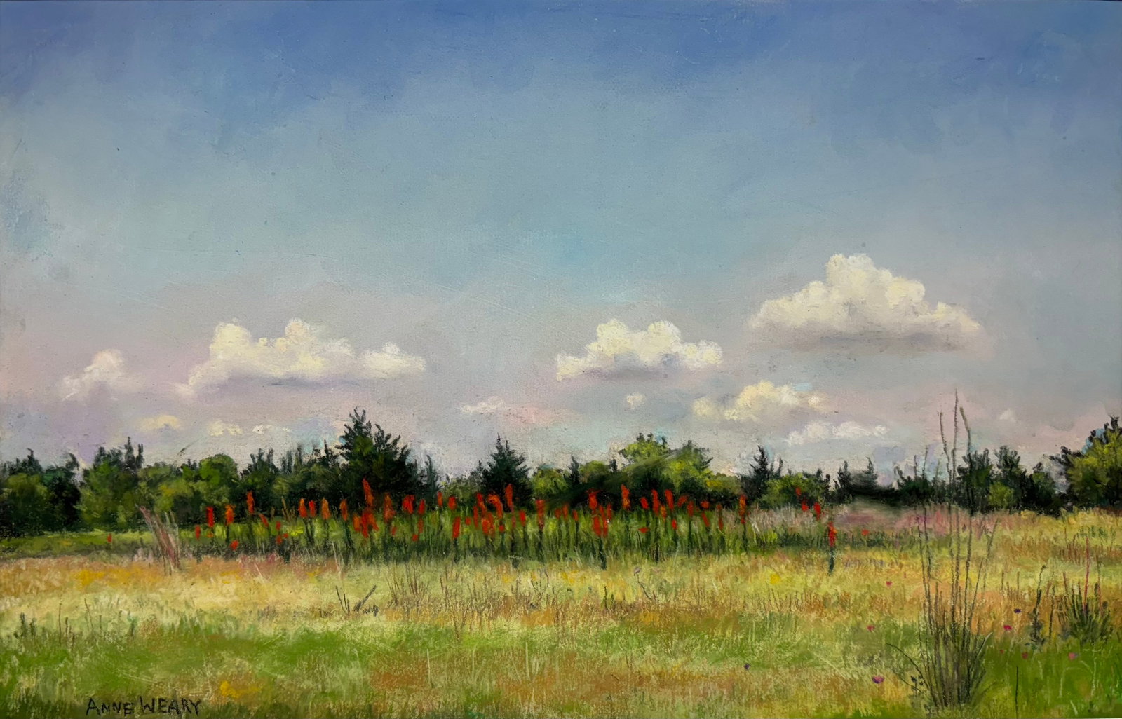 Anne Weary (Am. born 1952), Indian Paintbrush: Indian Paintbrush, pastel on paper, 7 1/2 x 11 3/4, signed lower left: Anne Weary