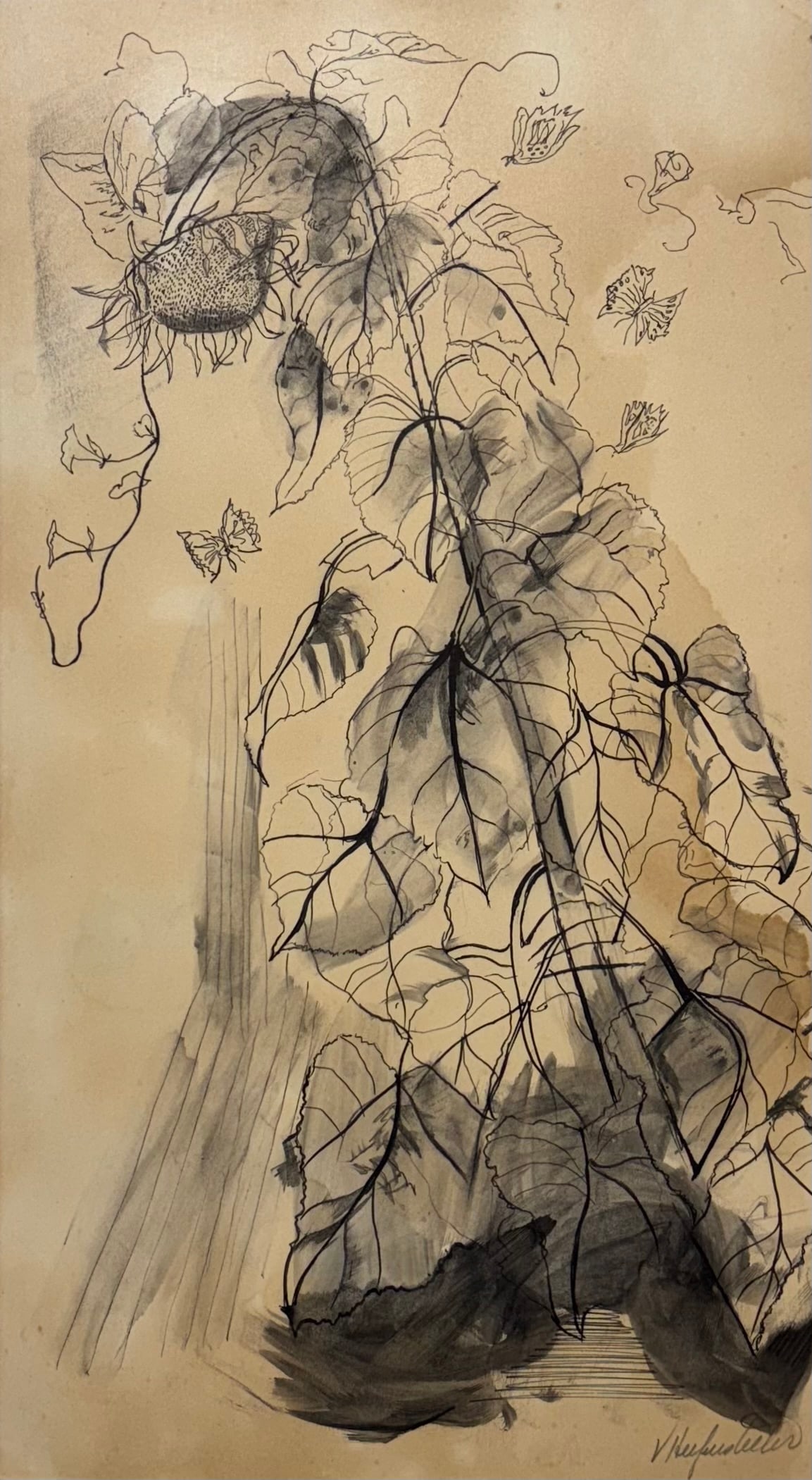 Veronica Helfensteller (Am. 1910-1964), Pinorero & Sunflower (1 of 1)