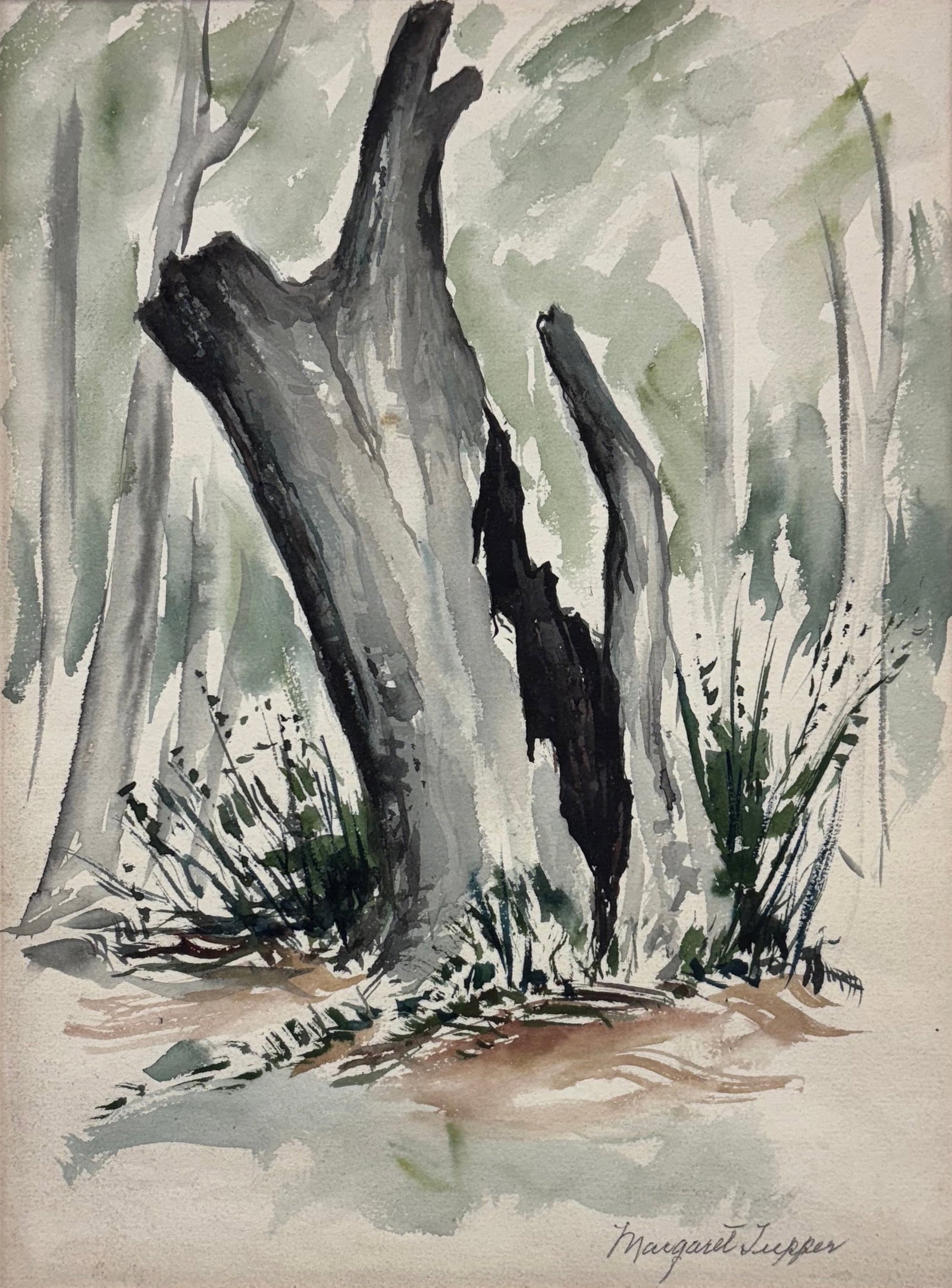 Margaret Tupper (Am. 1887-1979), Tree Stump (1 of 1)