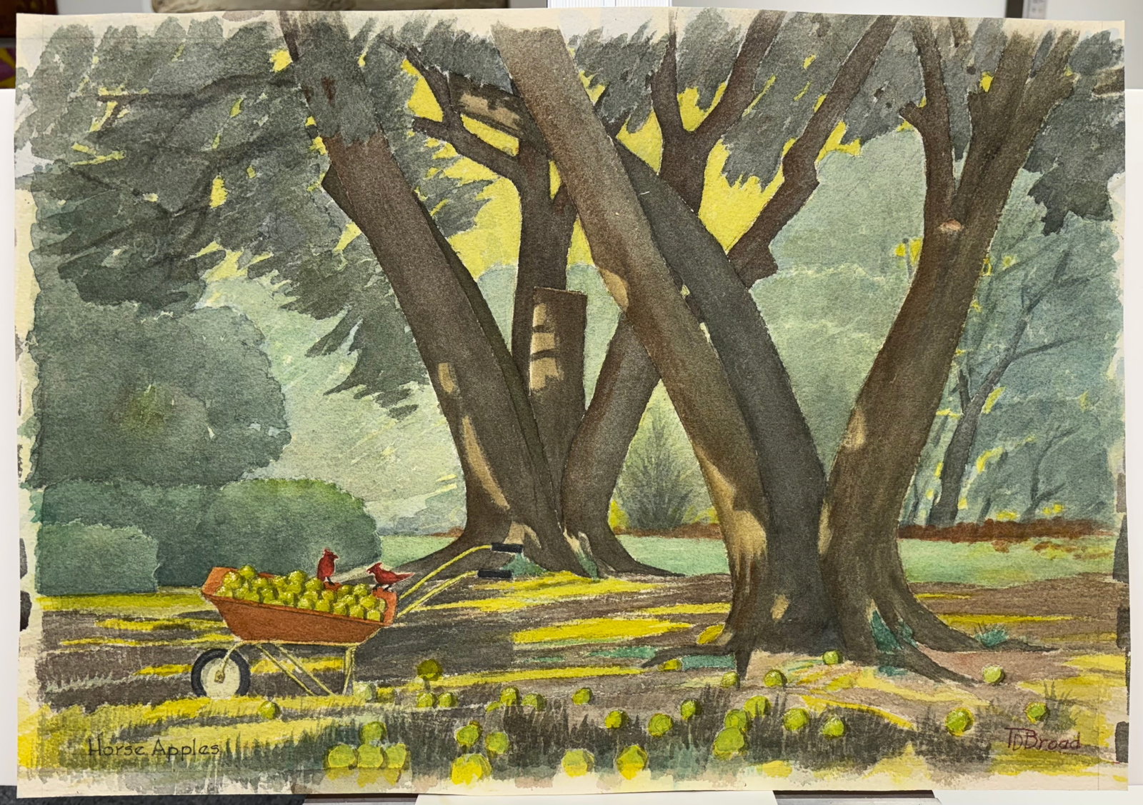 Thomas D. Broad (Am. 1893-1985), Horse Apples: Horse Apples, watercolor on paper, 14 1/2 x 20 1/2, signed across bottom: Horse Apples, TD Broad