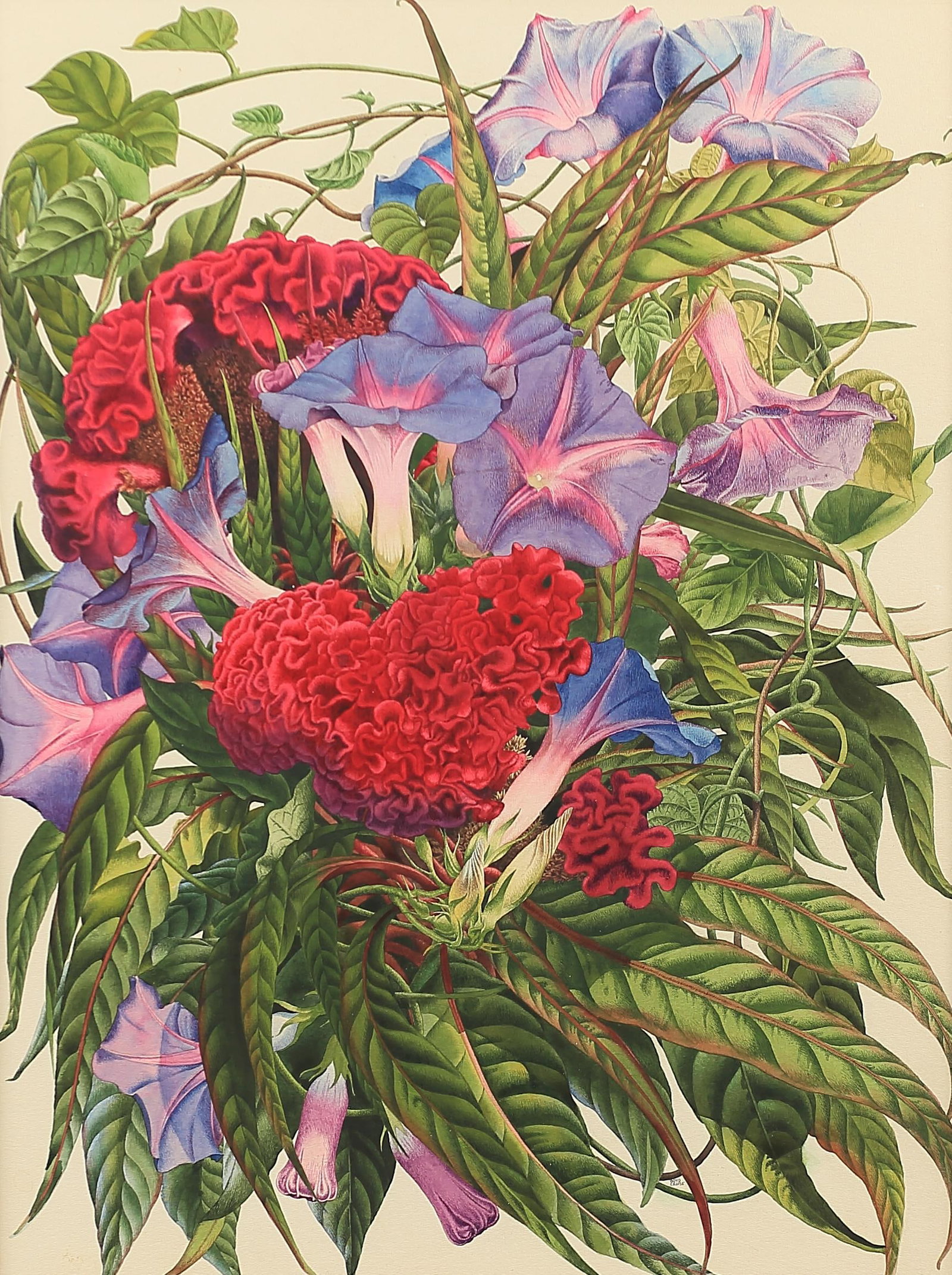 Alvyk Boyd Cruise (Am. 1909-1988), Cockscomb and Morning Glories, 1947 (1 of 1)