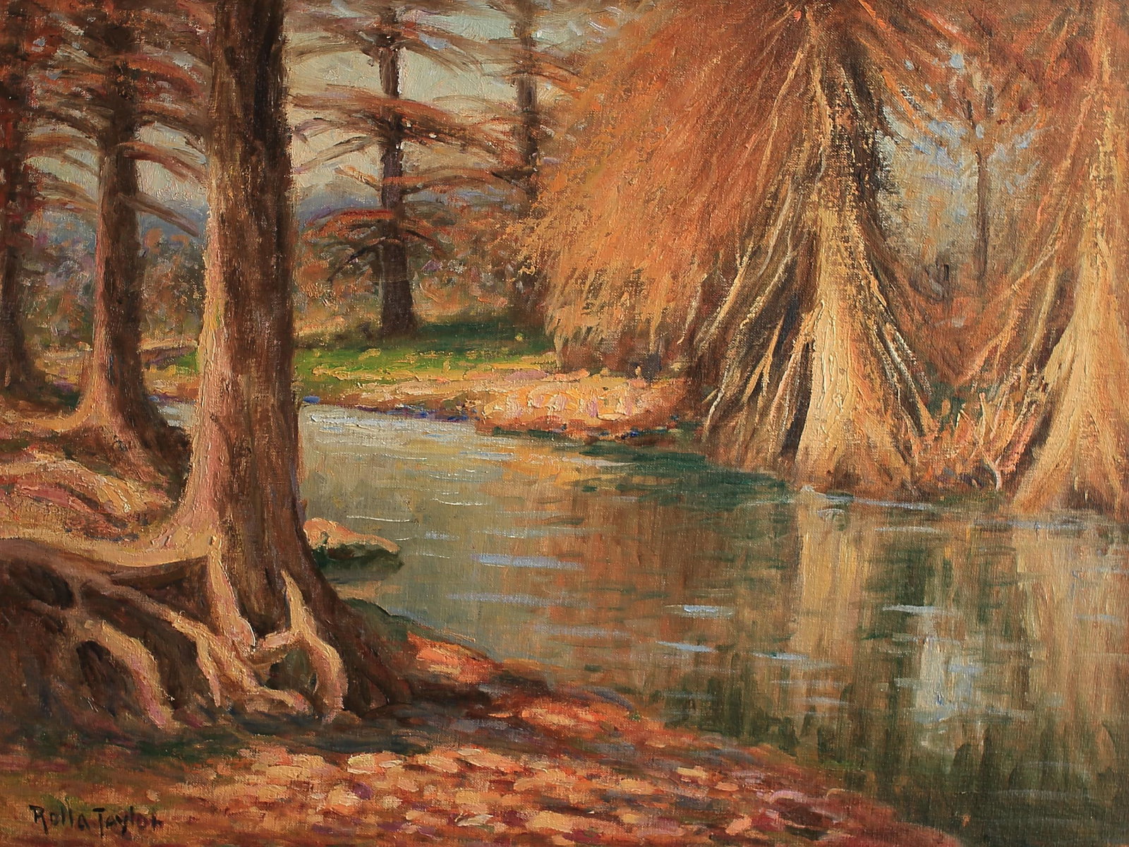 Rolla Taylor (Am. 1872-1970), The Old Cypress, Bandera (1 of 1)