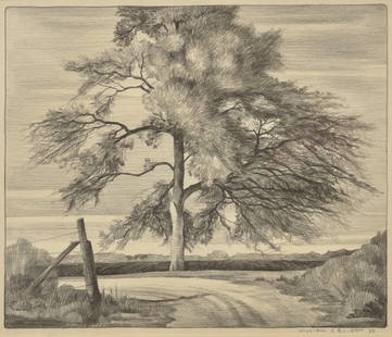 William Elliott, Tree, 1938, pencil: 10 x 12 inches, signed lower right: William Elliott 38