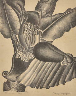 Mary Lightfoot, Banana Plant; Ed. 47/50, lithograph: 12 2/3 x 10 1/2 inches, signed across bottom: Banana Plant, 47/50, Mary Lightfoot