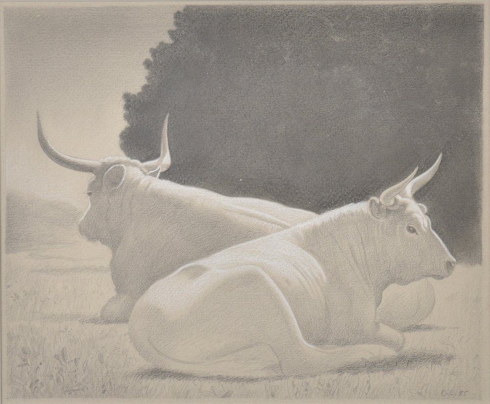 David Ligare, Study of Two Bulls, 1985, graphite on: 9 x 10 inches, signed lower right