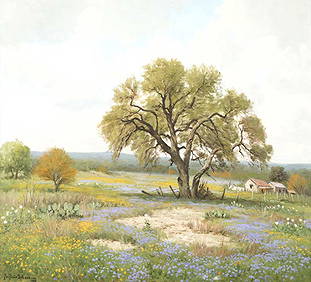 Porfirio Salinas, Verbena and Coreopsis, 1961, oil on (1 of 1)