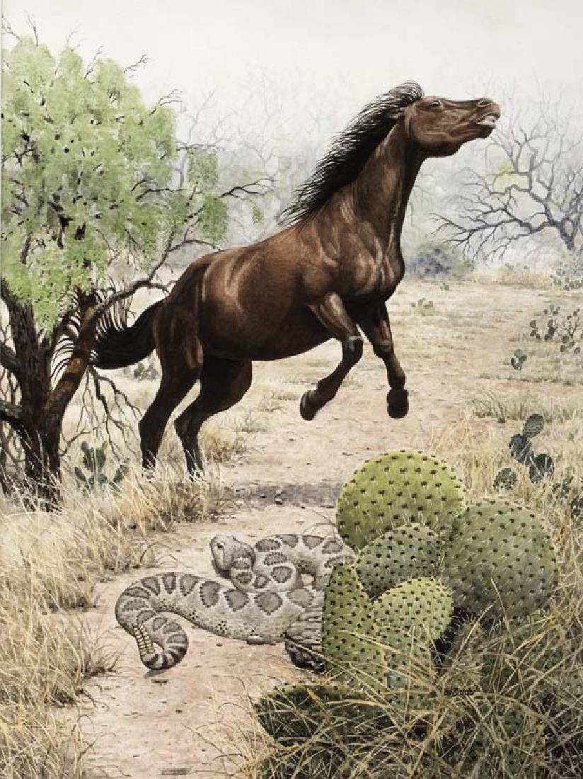 Walt Cude, Horse & Rattler, watercolor on paper (1 of 1)