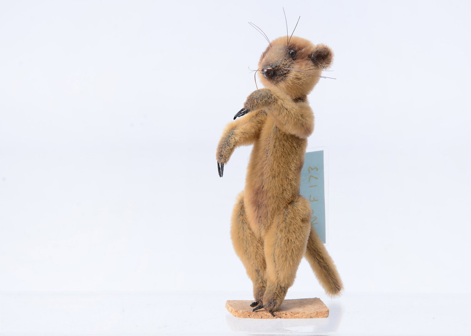 A Puzzle Bears miniature Meerkat,: A Puzzle Bears miniature Meerkat, designed by Anita Weller, with light golden mohair, black plastic eyes, moulded brown nose and whiskers, with swivel head and jointed limbs, and tag certificate. No.F