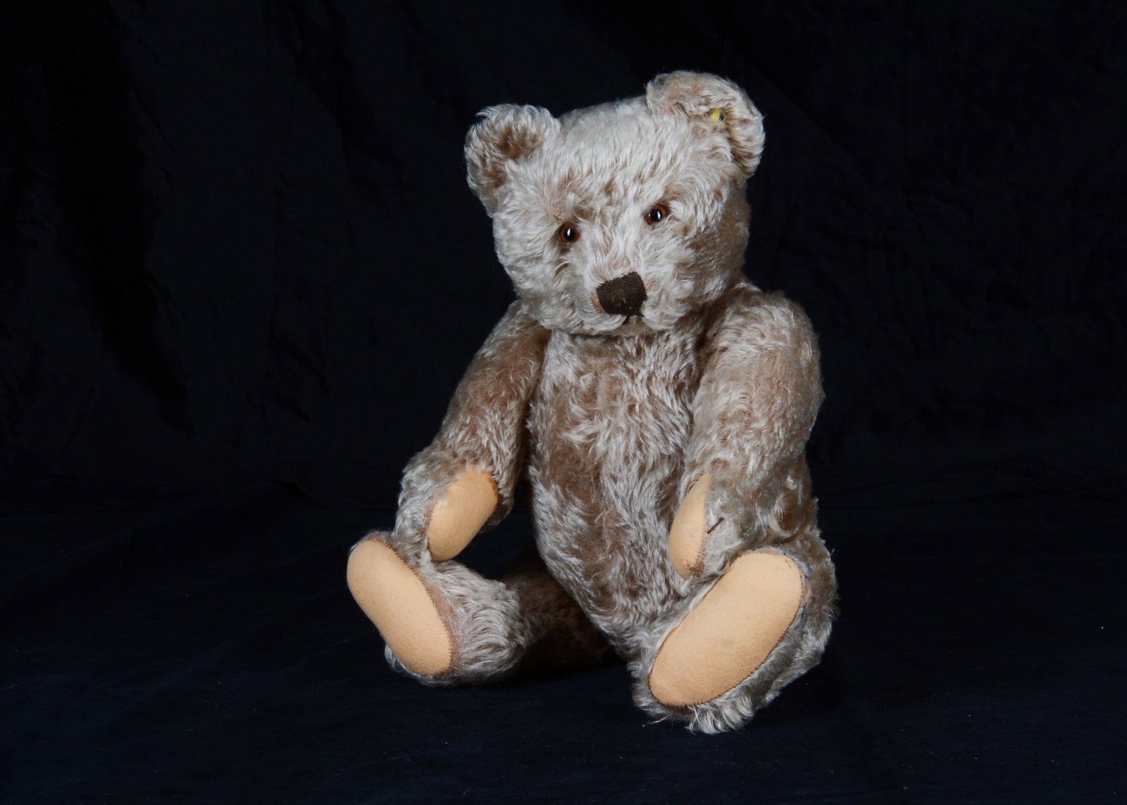 A 1951-1958 Steiff Original teddy bear,: A 1951-1958 Steiff Original teddy bear, with caramel mohair, brown and black glass eyes, black stitched nose, mouth and claws, swivel head, jointed limbs with felt pads, inoperative growler and script