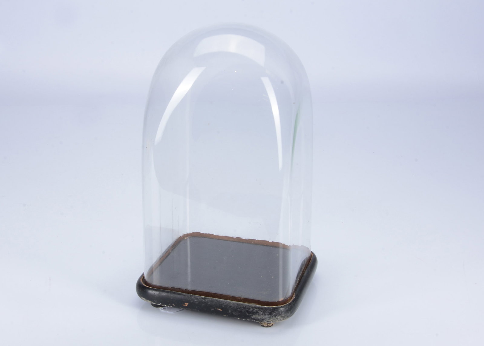 An 19th century glass dome, (1 of 1)