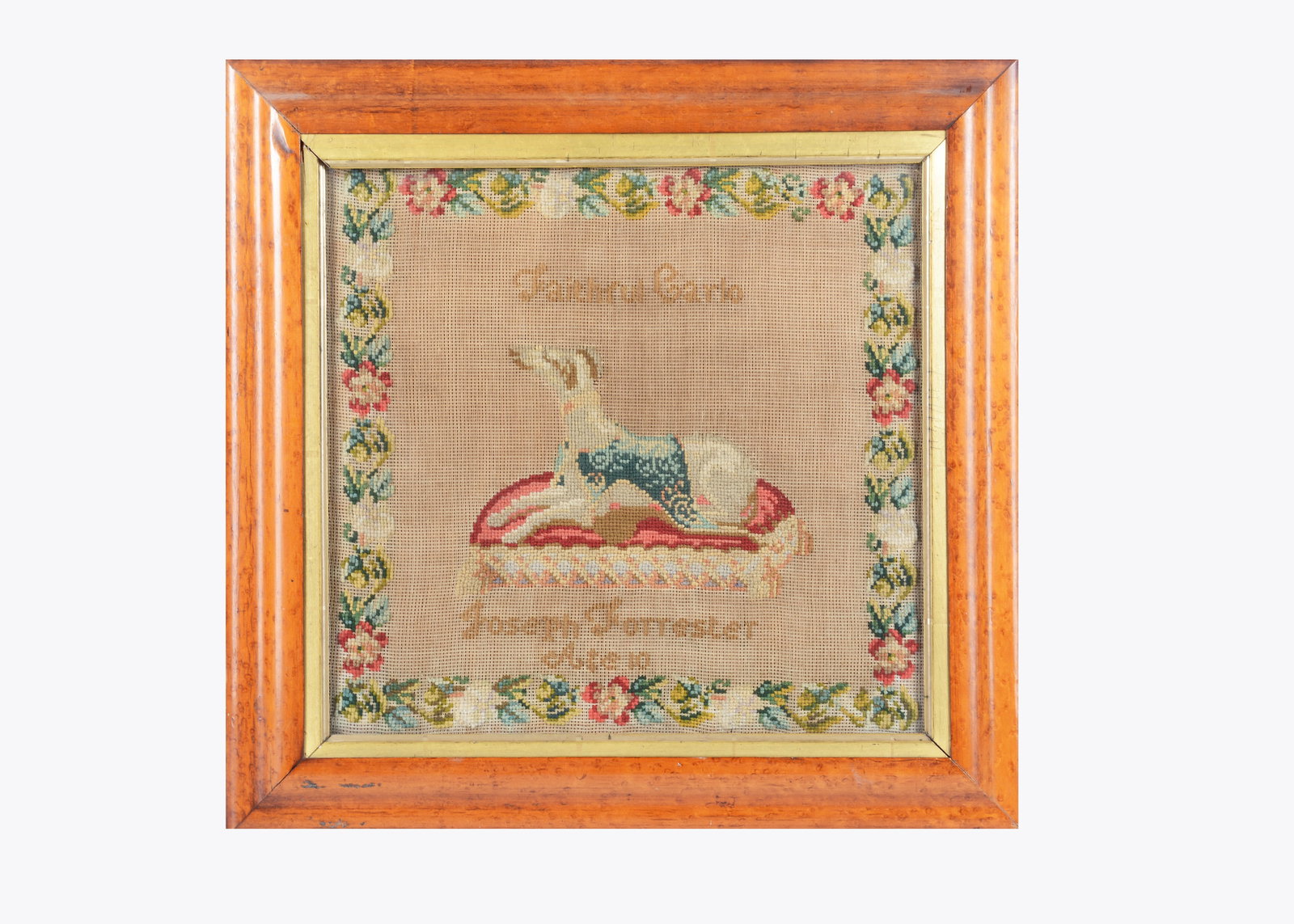 An 19th century wool work of a greyhound ‘Faithul Carlo’ by Joseph Forrester, aged 10,: An 19th century wool work of a greyhound ‘Faithul Carlo’ by Joseph Forrester, aged 10, with floral border, in original maple frame —18 1/2in. (47cm.) x 18in. (46cm.) (backing discolo