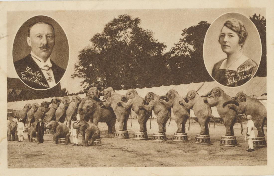 Antique Original PC Circus Elephants, 1900s (1 of 2)