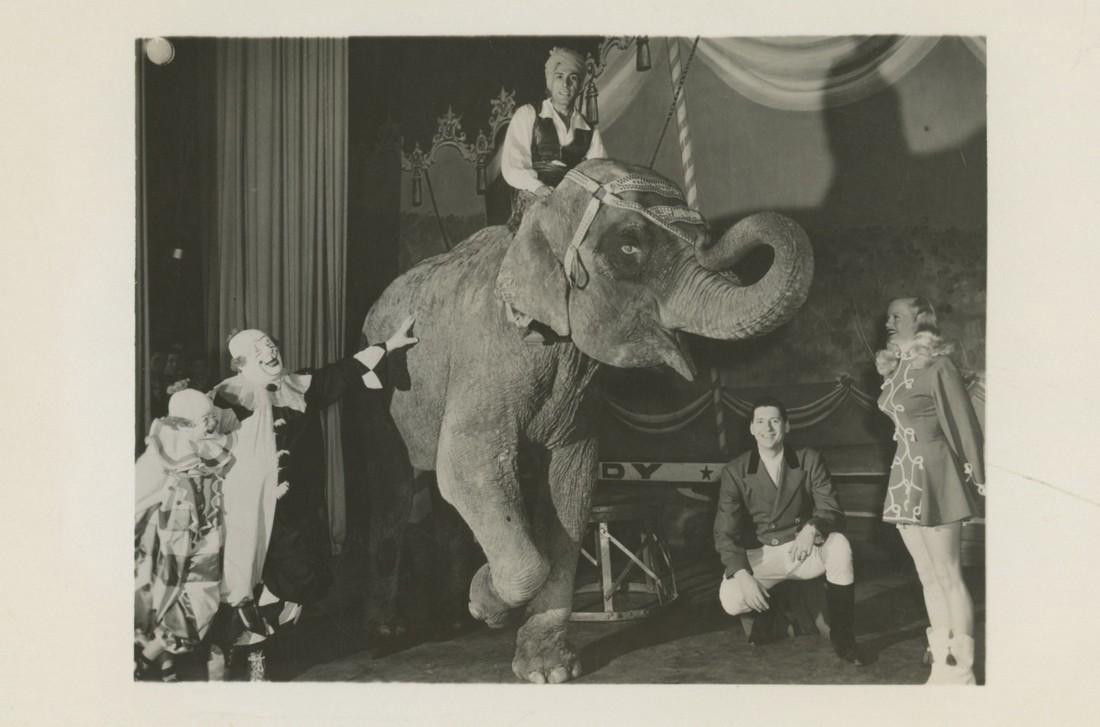 Antique Original PC Circus Elephant, 1950s (1 of 2)