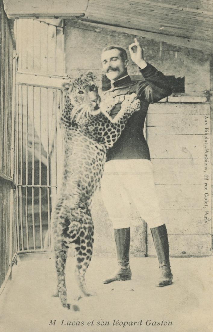 Antique Original PC Circus Leopard Trainer, 1910s (1 of 2)