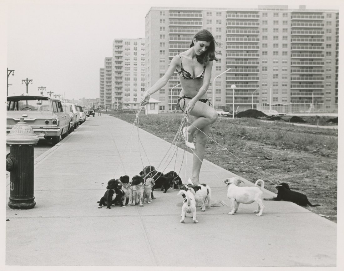 The Dog Walker in NY , Photo by PictureMakers, 1950's: All items in this sale are guaranteed originals. Please contact us if there is a misrepresentation so that the item can be returned. The dimensions are 8" x 10".