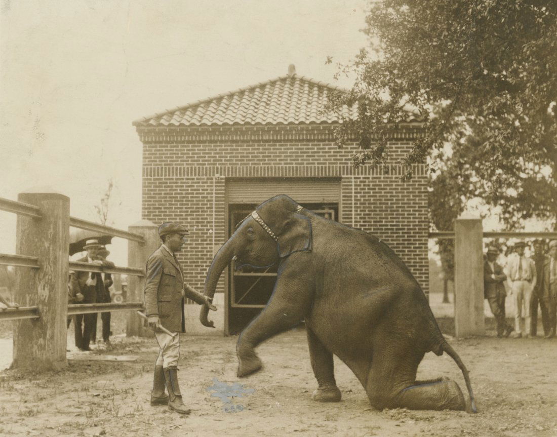 Elephant Trainer in 1926, stamp to identify. (1 of 2)