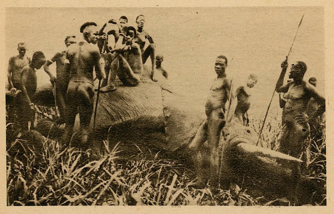Antique Photogravures Nude African Natives, 1900s: Double sided printed heliogravures. Paper dimensions are Approx. 7.5" x 5". These quality antique photogravures (printed during the early 20th. C.) corresponds to photographs by expeditionary photogra