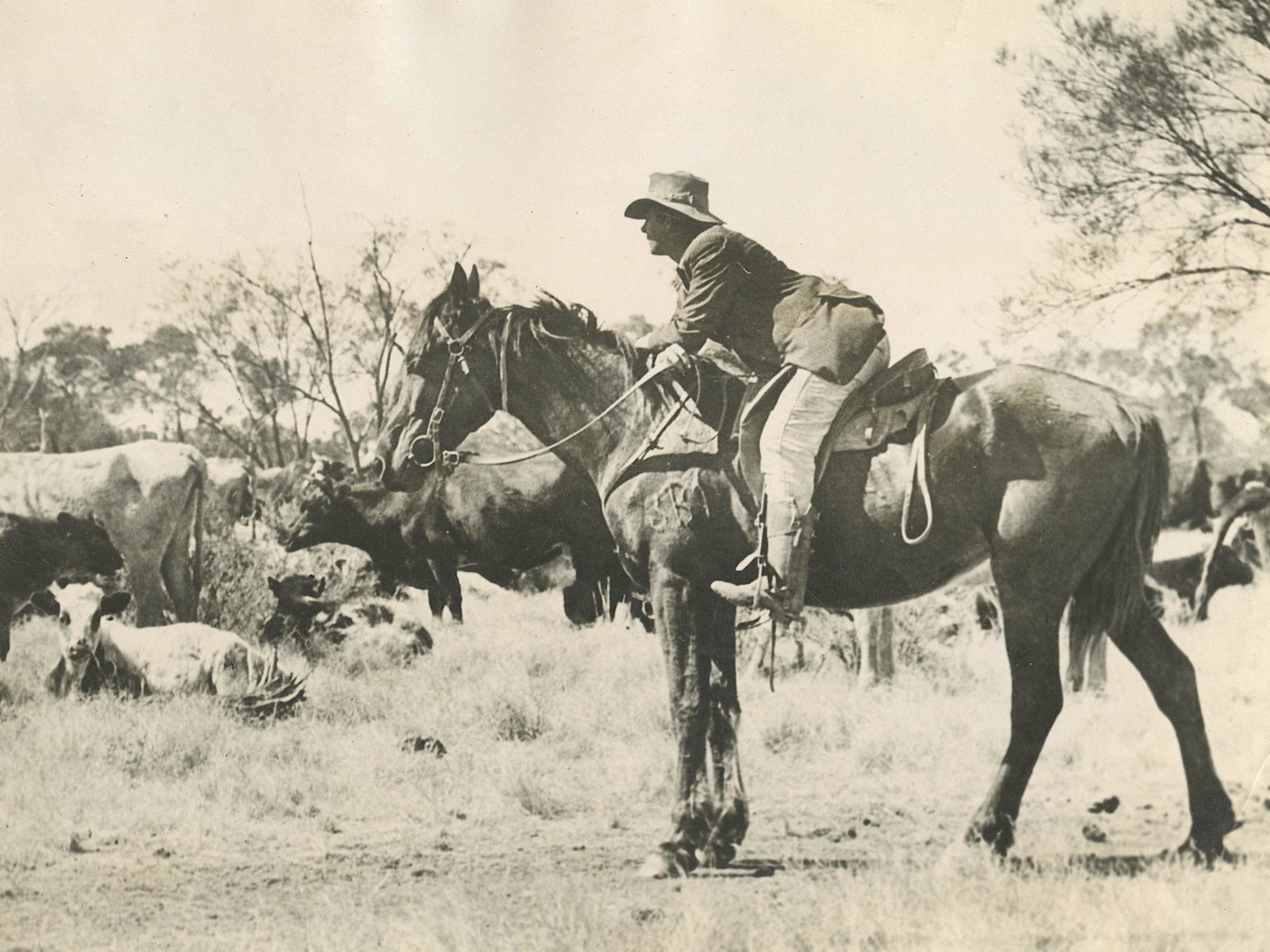 Rare Antique Photograph Cowboy Australia: Antique photograph from the epoch. The dimensions are Approx. 6.5" x 8.5". This lot is located in Boca Raton, Fl. Sometimes Artelisted can decide to coordinate shipping with a third party (between buy