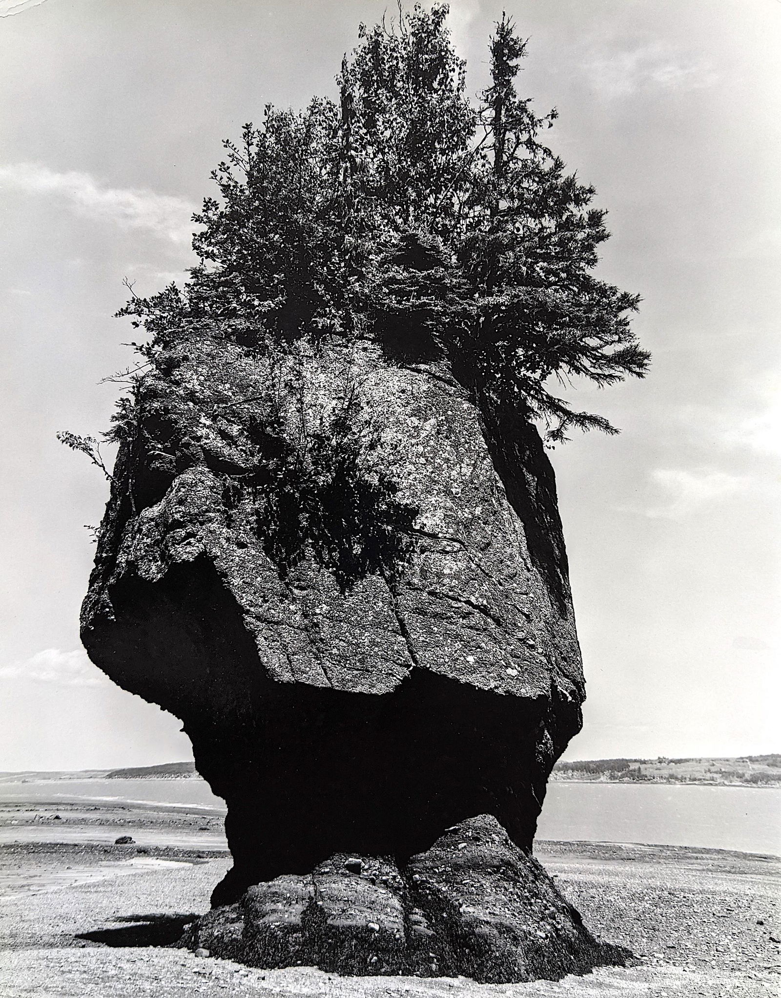 Vintage Gelatin Photo American Landscape 11" x 14", (1 of 3)