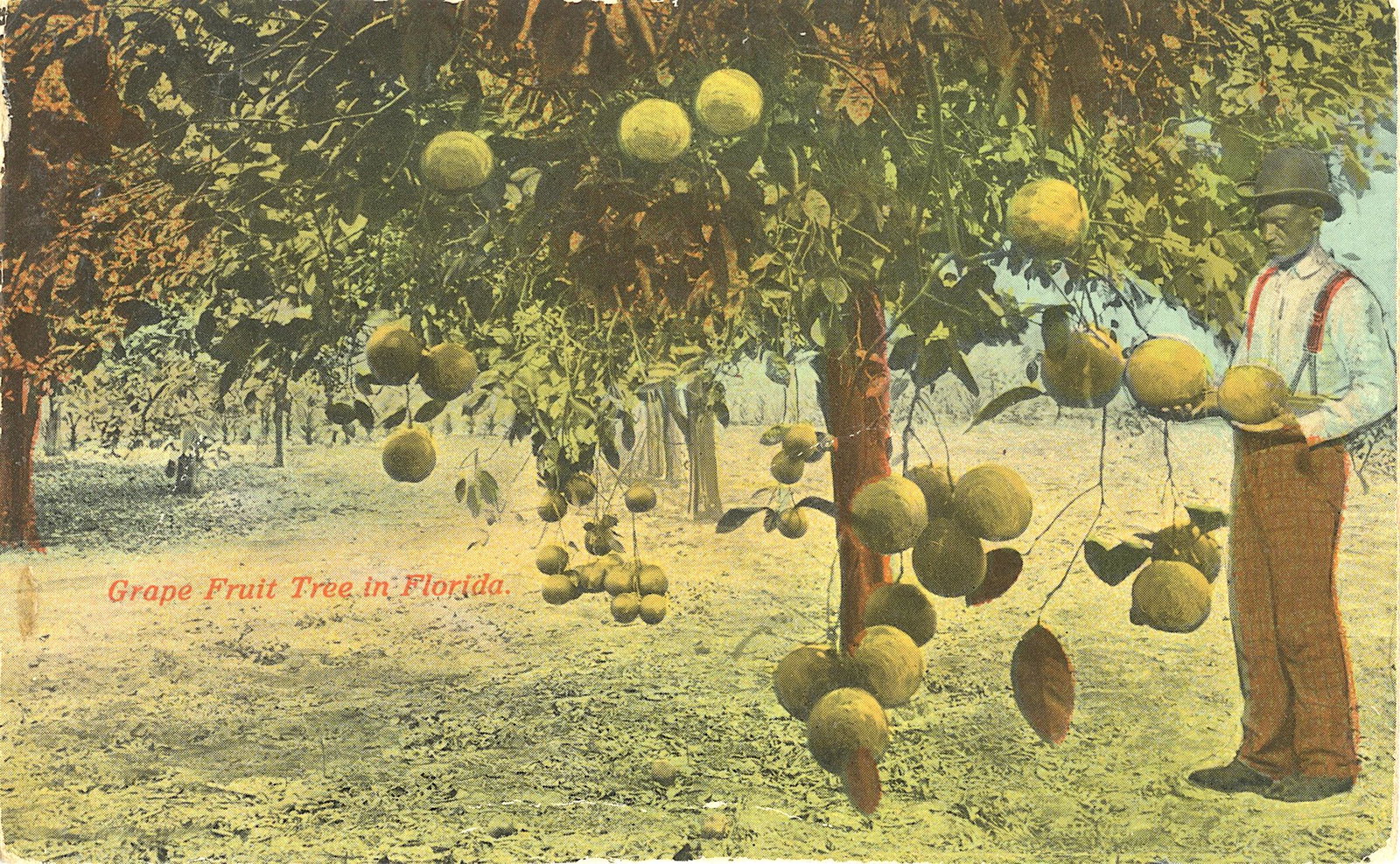Antique Rare African American Postcard: The dimensions are Approx. 5.5" x 3.75". This lot is located in Boca Raton, Fl and its shipment will be made directly by Artelisted. Shipping insurance is the responsibility of the buyer. Ask us if yo