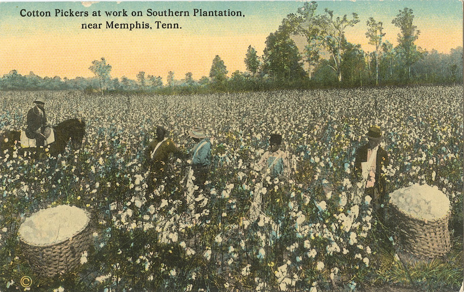 Antique Rare African American Postcard: The dimensions are Approx. 5.5" x 3.75". This lot is located in Boca Raton, Fl and its shipment will be made directly by Artelisted. Shipping insurance is the responsibility of the buyer. Ask us if yo