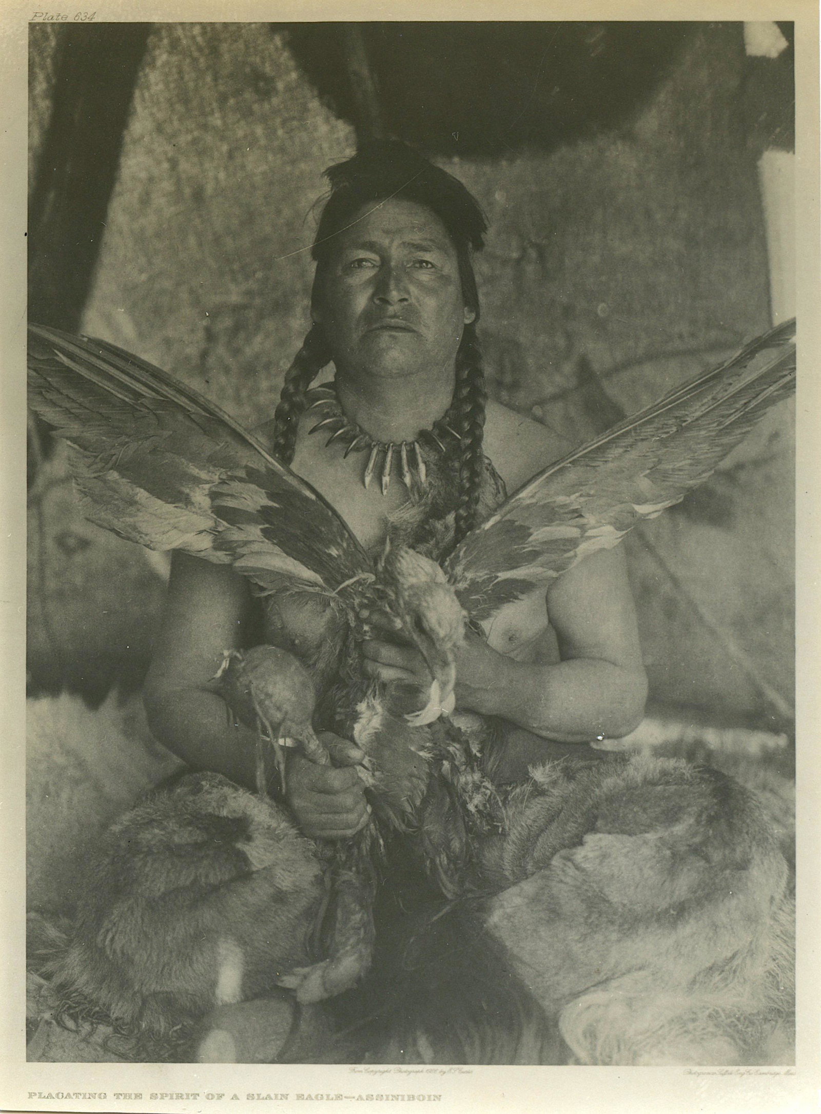 Vintage Photograph Edward Sheriff Curtis Native Indian: We estimate that this original photograph was printed in the 1970s (photographic paper used). After the magnifier inspection, the majority of this photos are marked with a copyright text (on the white