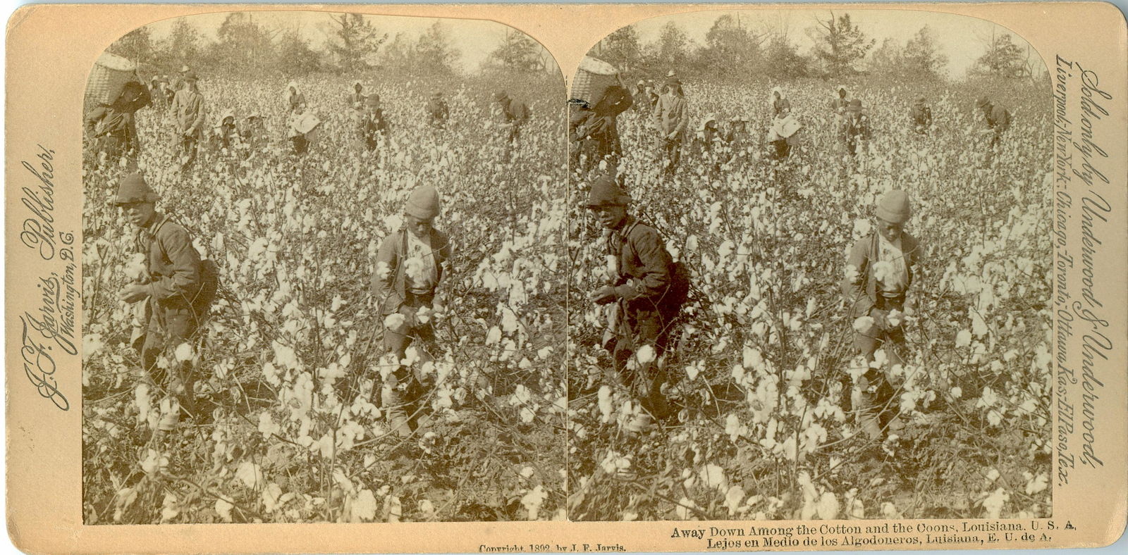 Rare Antique Stereoview Black African American Cotton (1 of 3)