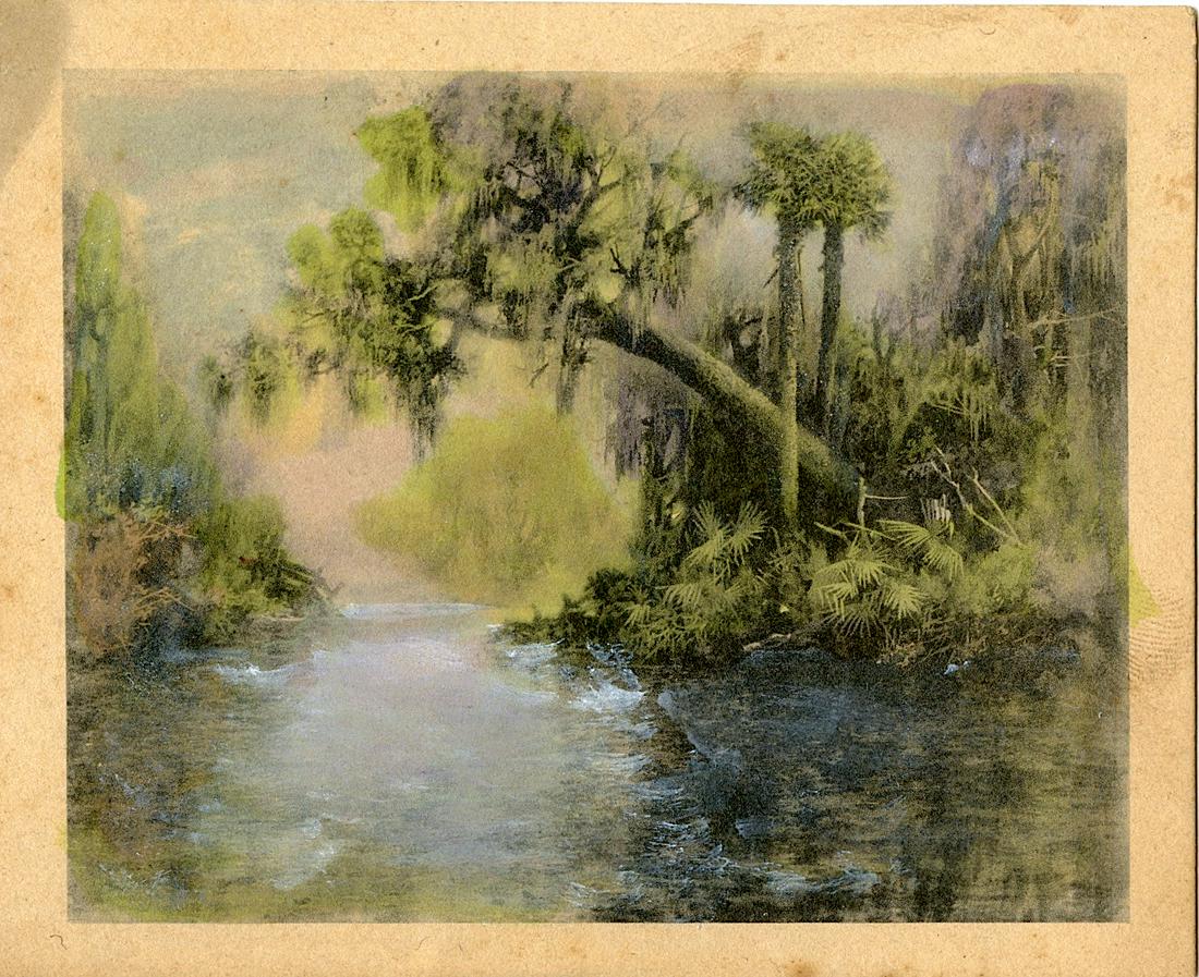 James R. Wilcox Colored Photo Florida Swamscape, 1890s: This print was actually produced by J.R. Wilcox, a Fla. landscape photographer and picture colorist. He died in 1915 and his prints were purchased by Barnhill. Some were signed by Barnhill as A.J.Wilc
