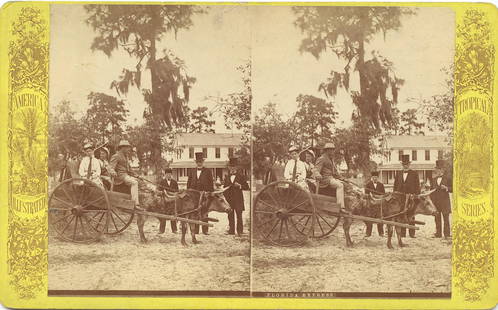 Antique Real Photo Stereoview Florida Express Transport: The dimensions of a stereoview are Approx. 3.5" x 7" (sometimes 4" x 7"). ABOUT SHIPPING: This lot is located in Boca Raton, Fl and its shipment will be made directly by Artelisted. Shipping