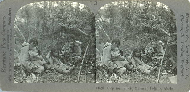 Antique Real Photo Stereoview Indians Malamut Alaska: The dimensions of a stereoview are Approx. 3.5" x 7" (sometimes 4" x 7"). ABOUT SHIPPING: This lot is located in Boca Raton, Fl and its shipment will be made directly by Artelisted. Shipping