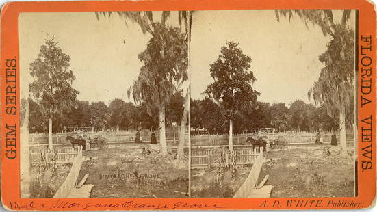 Antique Real Photo Stereoview Florida Palatka: The dimensions of a stereoview are Approx. 3.5" x 7" (sometimes 4" x 7"). ABOUT SHIPPING: This lot is located in Boca Raton, Fl and its shipment will be made directly by Artelisted. Shipping