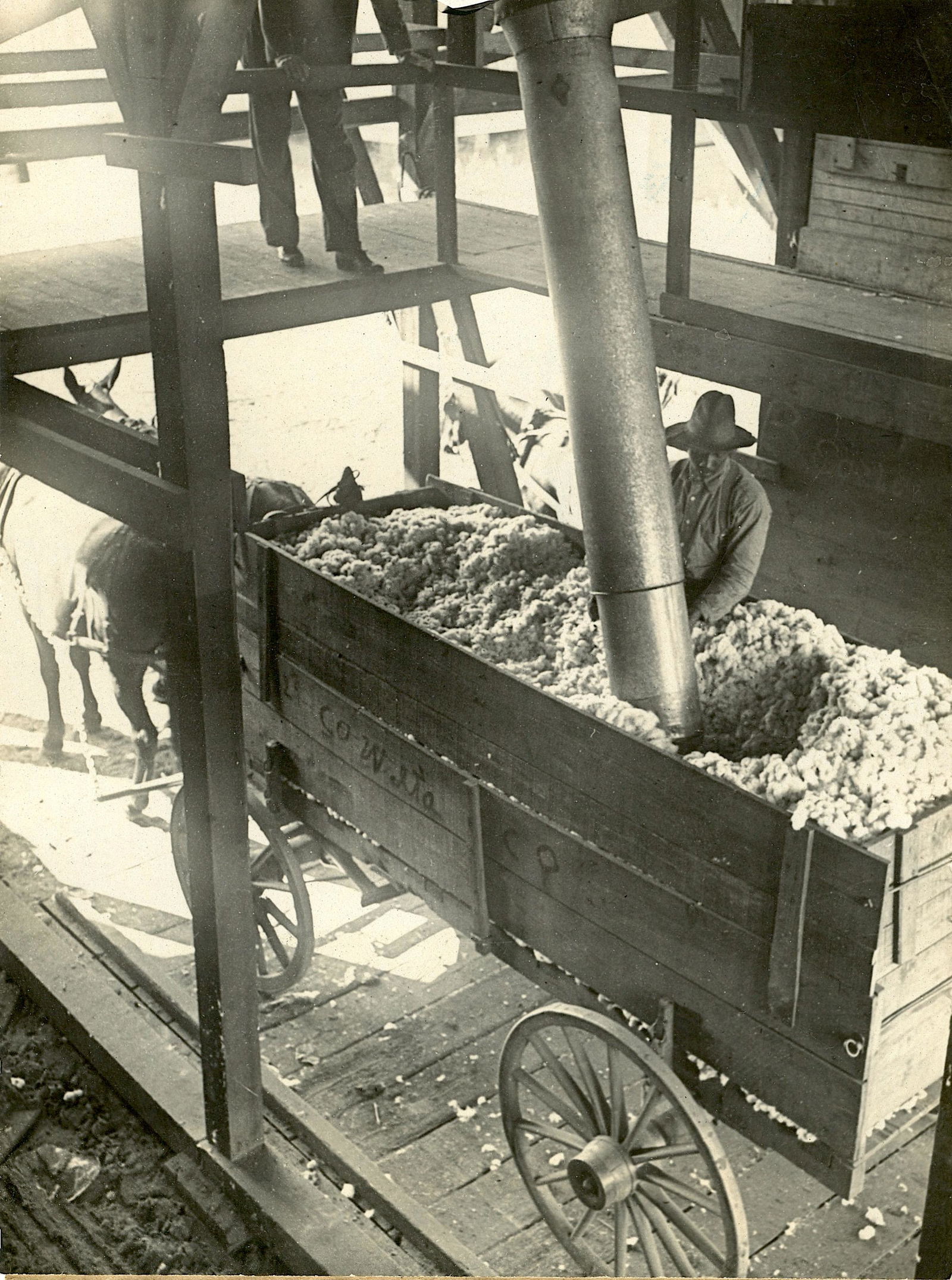 Antique PhotoLabor Cotton Seed in New York: The paper dimensions are Approx. 8.25" x 6.25" (small variances can occur). This lot is located in Boca Raton, Fl. The shipping by Artelisted will be via USPS - First Class or Priority (tracking # wil