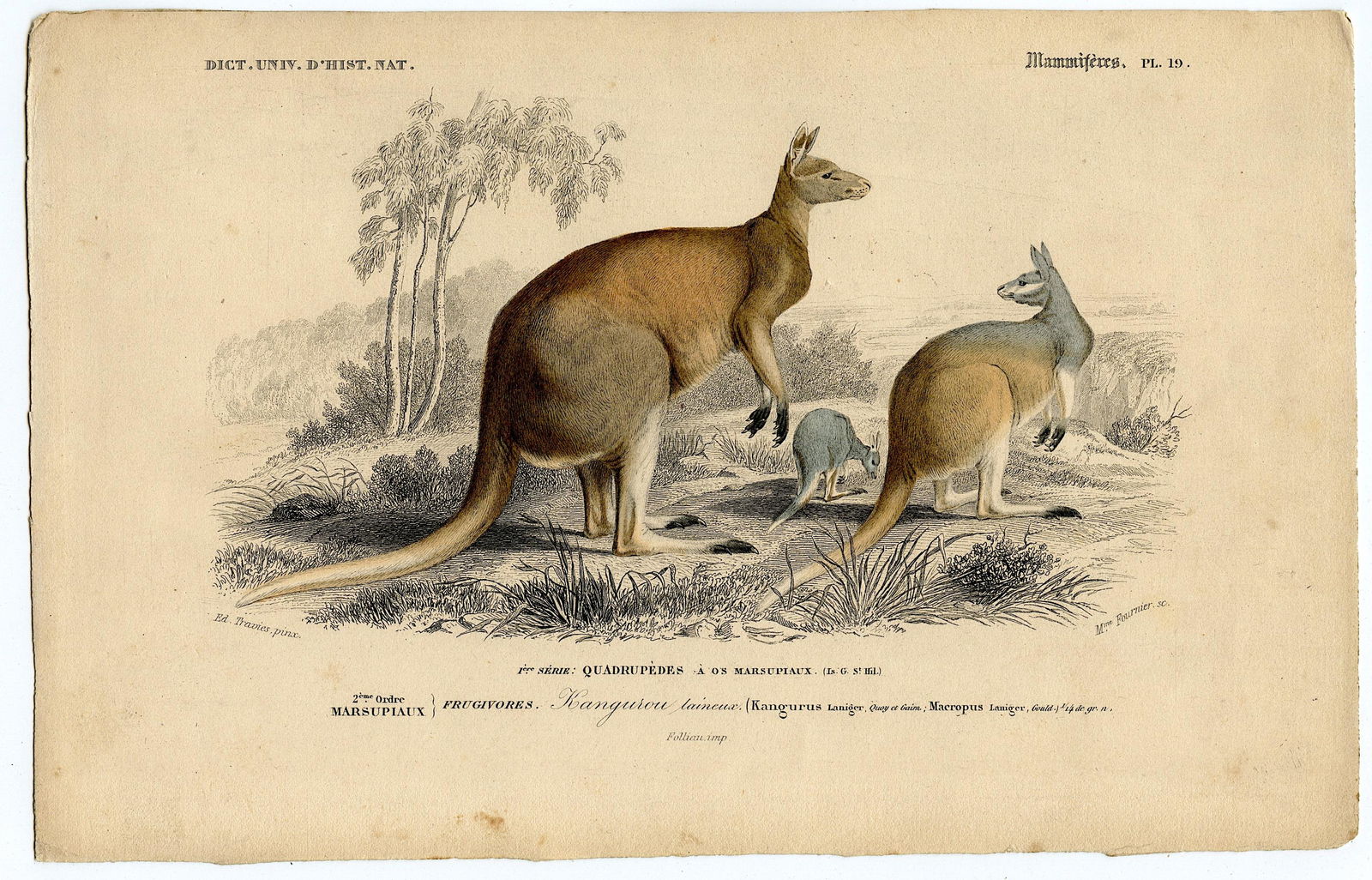 Fine Antique Hand Colored French Print , 1849 (1 of 1)