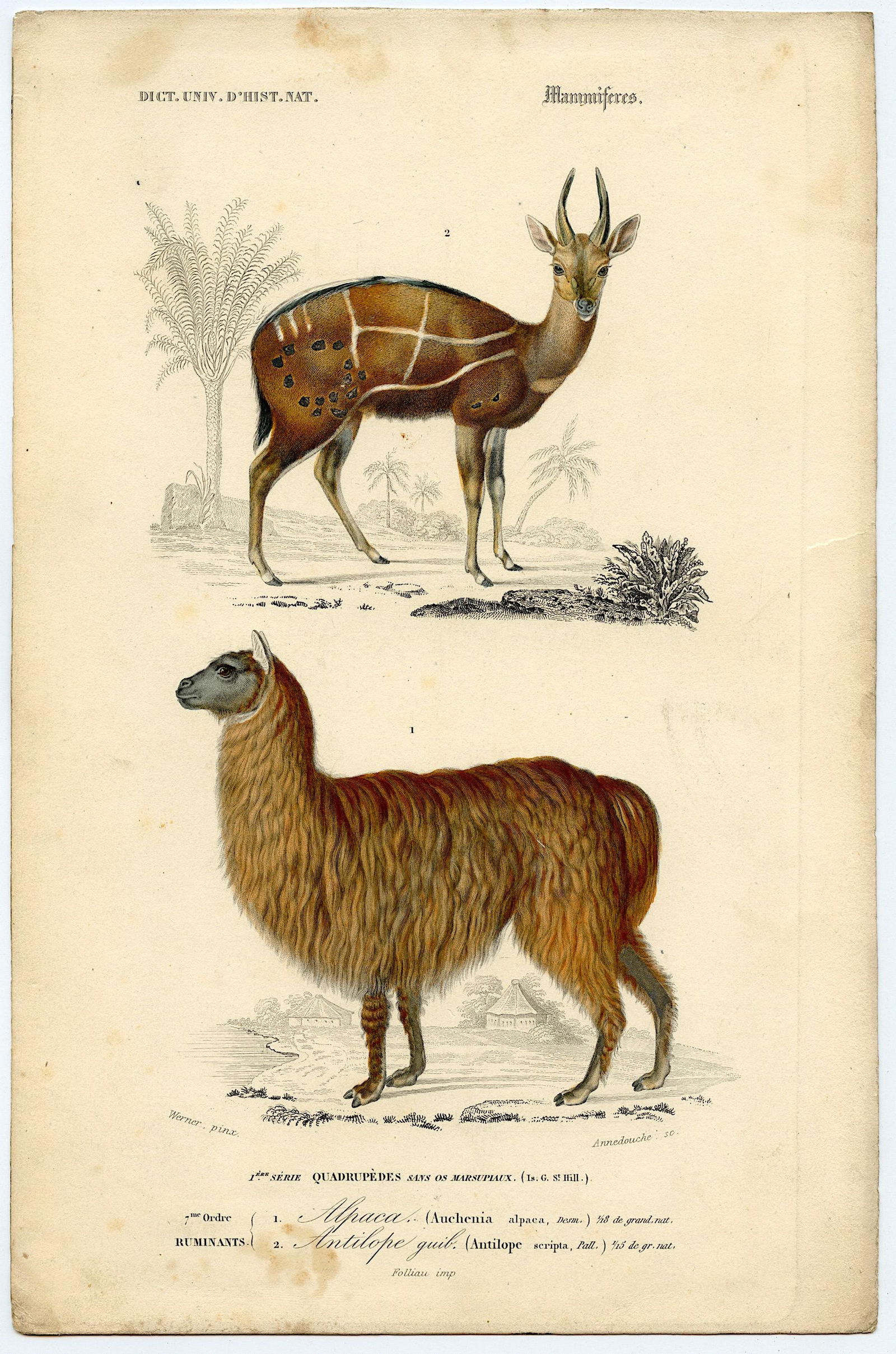 Fine Antique Hand Colored French Print , 1849 (1 of 1)