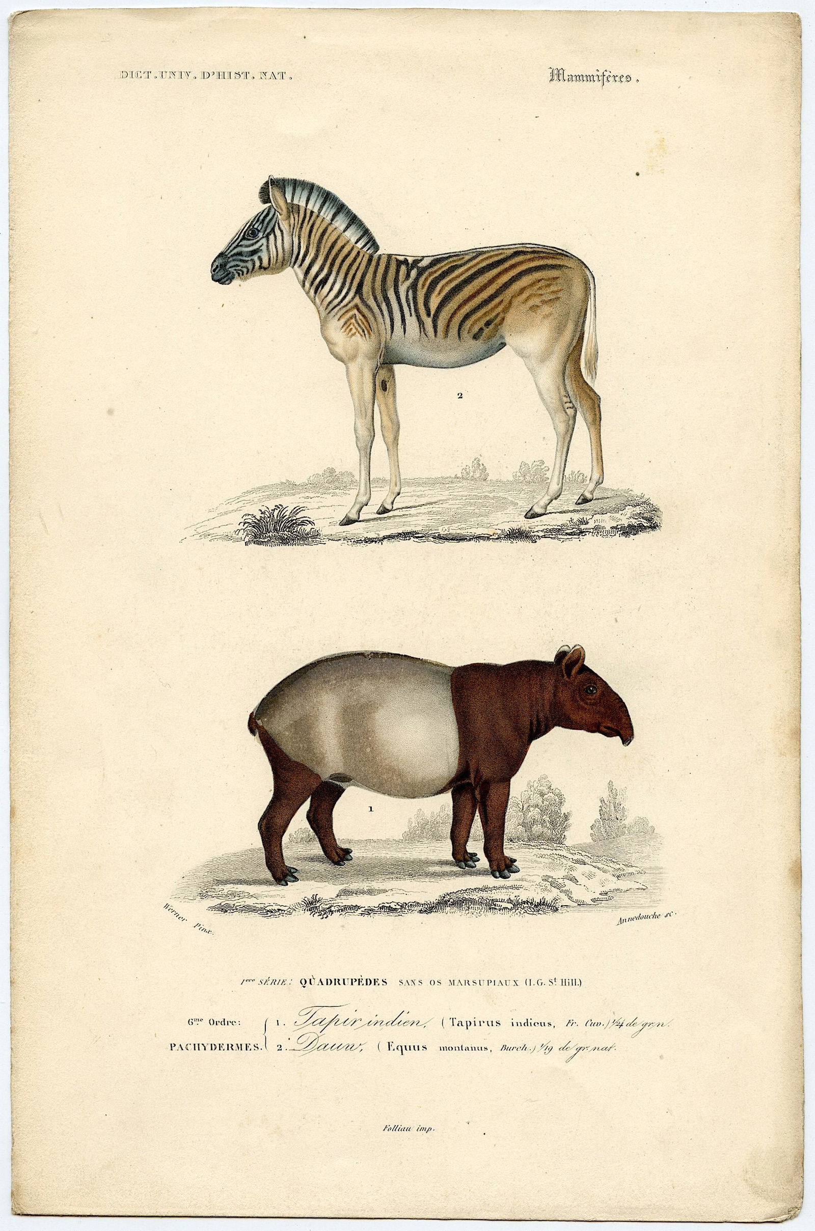 Fine Antique Hand Colored French Print , 1849 (1 of 1)