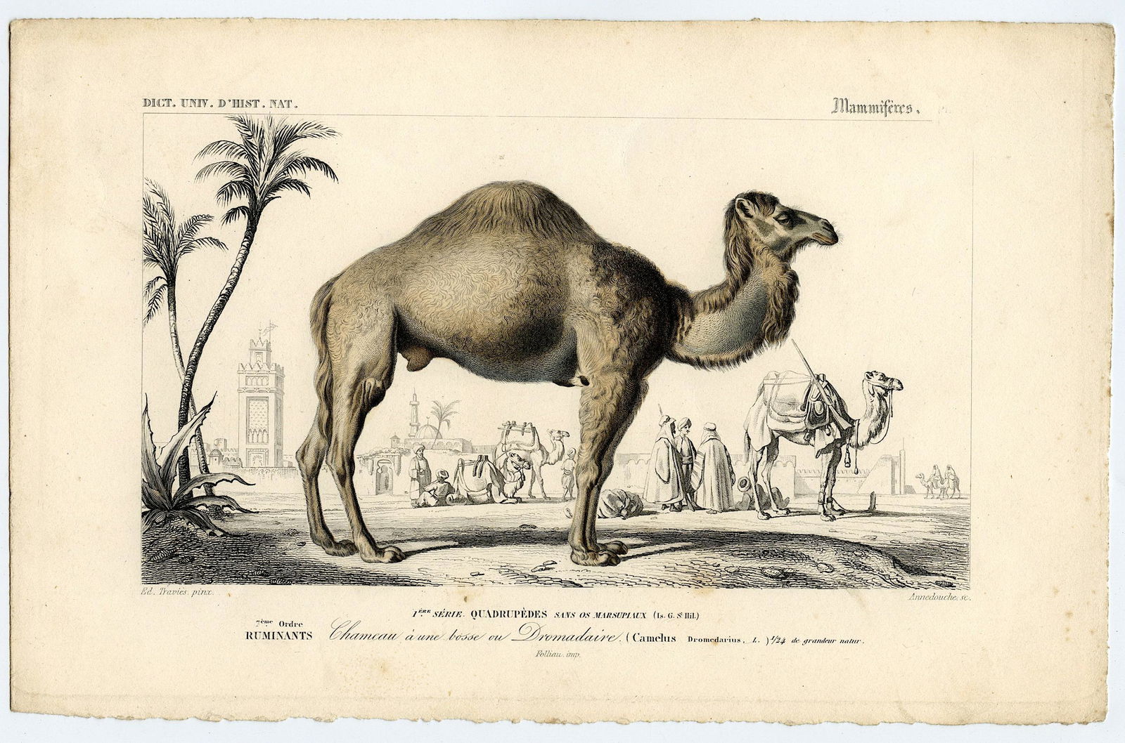 Fine Antique Hand Colored French Print , 1849 (1 of 1)