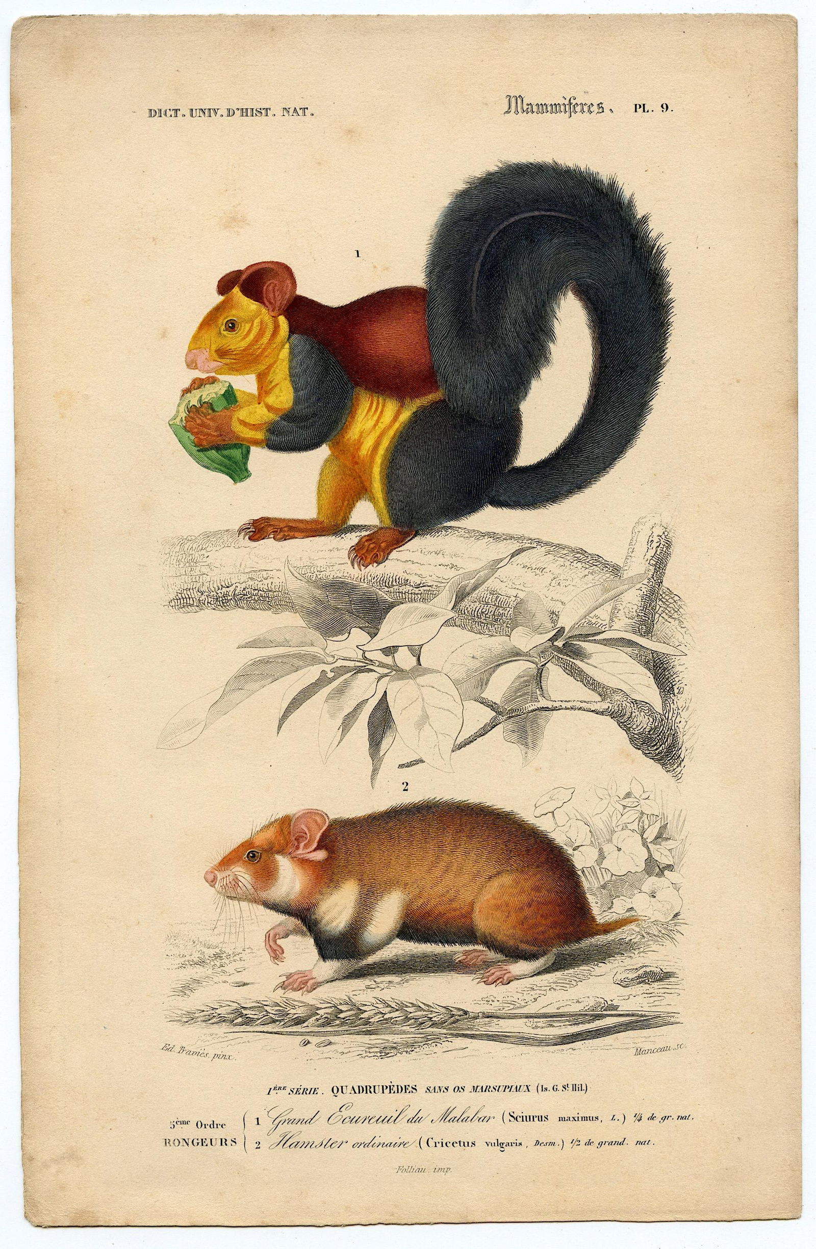 Fine Antique Hand Colored French Print , 1849 (1 of 1)