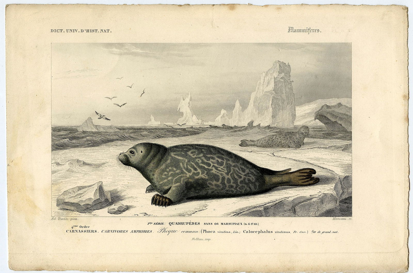 Fine Antique Hand Colored French Print , 1849 (1 of 1)