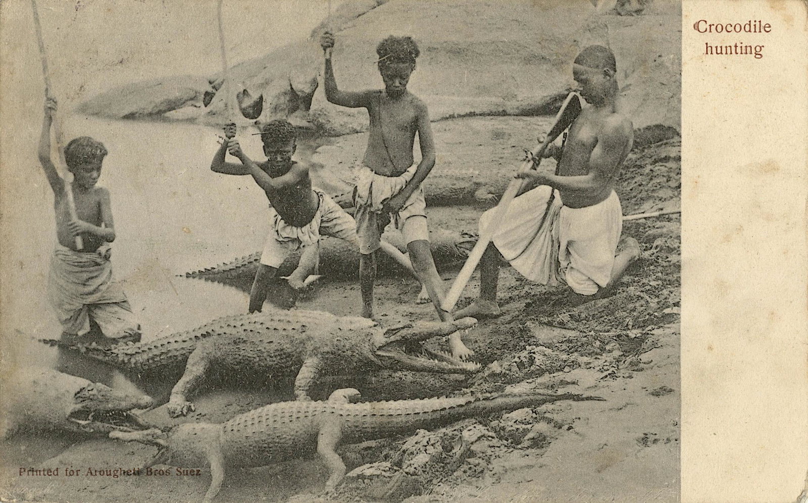 Rare Antique Postcard Africa Cocodrile Hunting: The dimensions of an antique postcard are Approx. 5.5"x 3.5" (small variances can occur). This lot is located in Boca Raton, Fl. The shipping by Artelisted will be via USPS - First Class or Priority (
