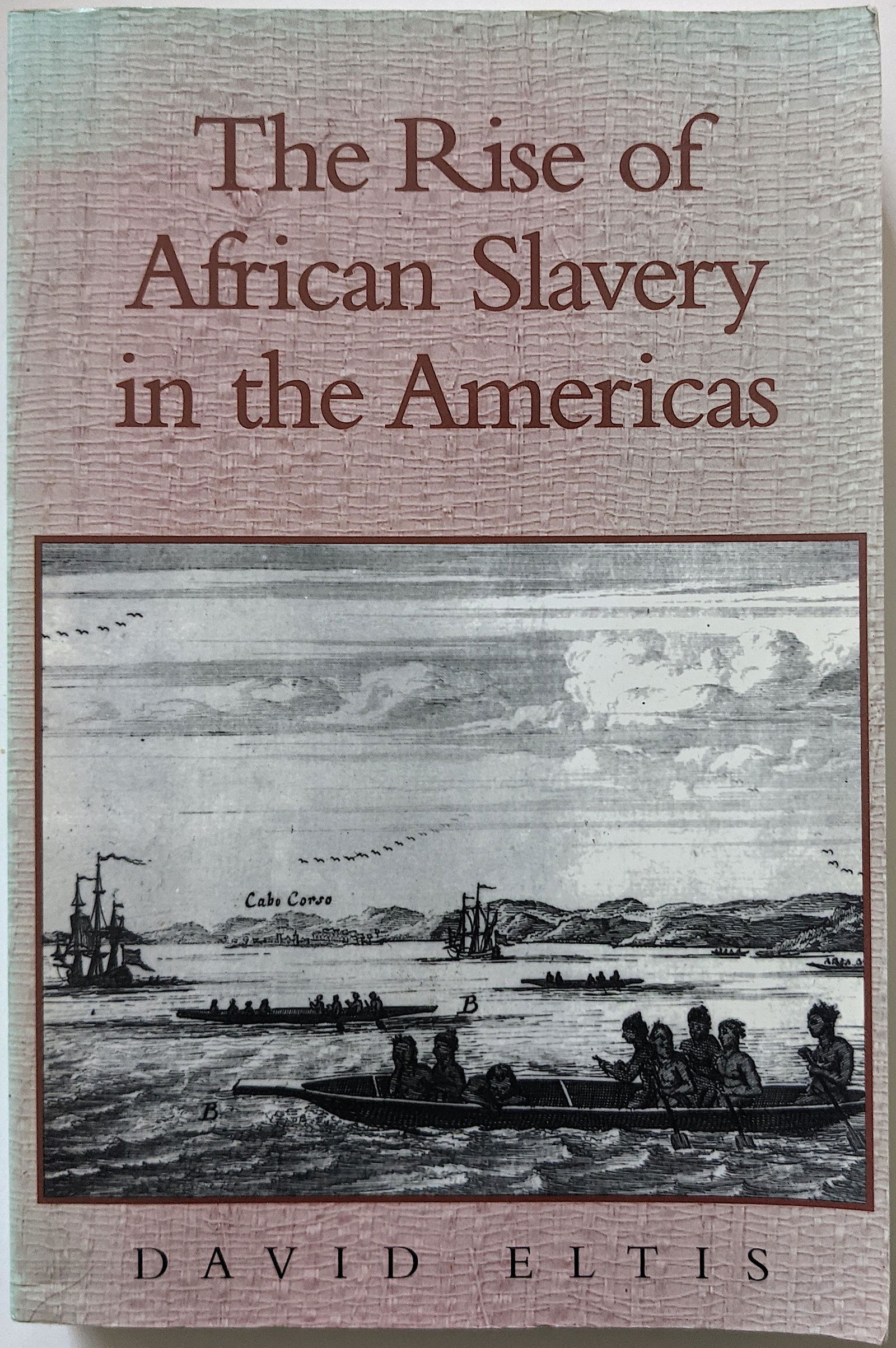 Vintage Book Segregation The Rise of African Slavery in (1 of 2)