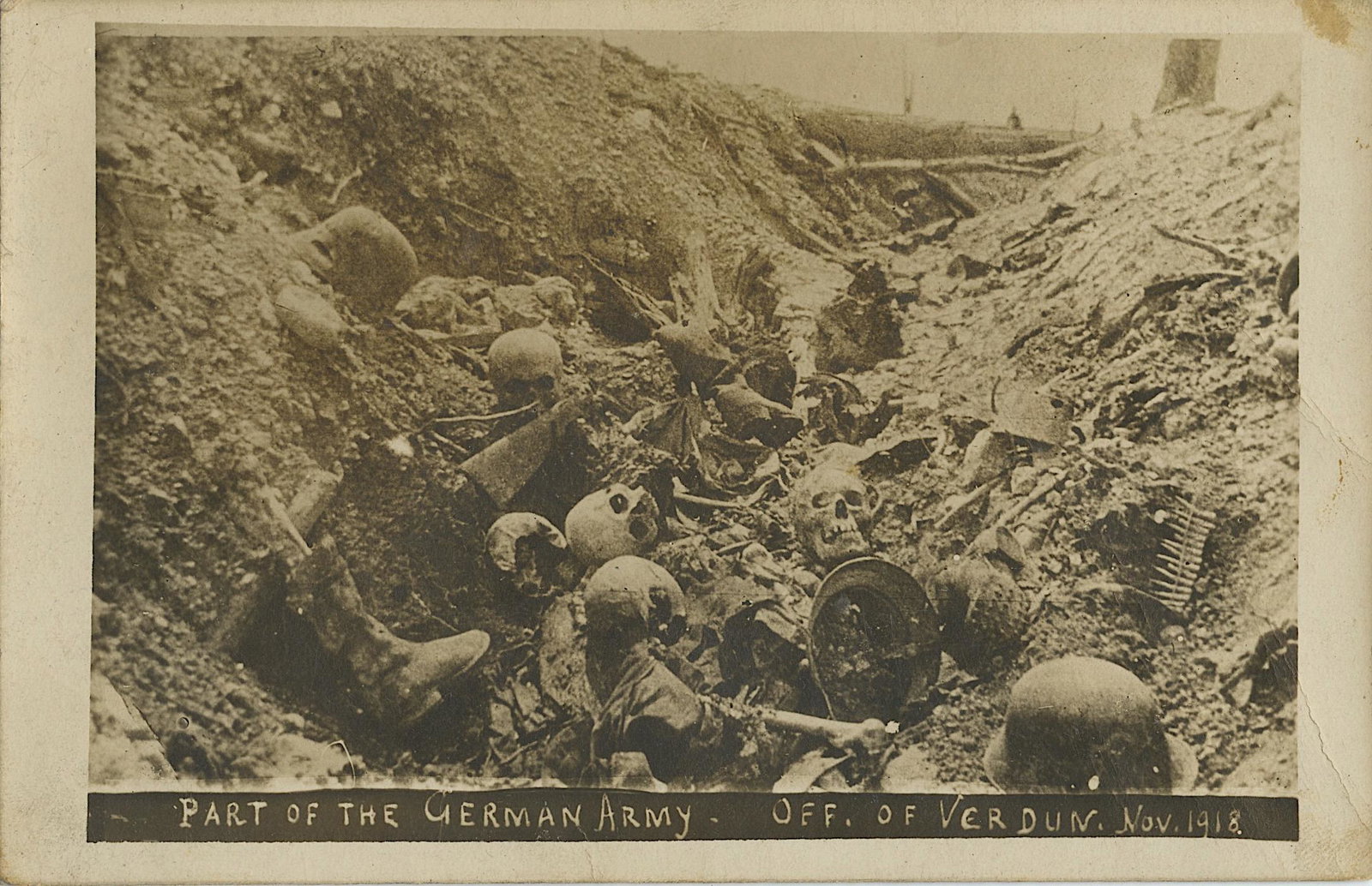 Antique Vintage Real Photo PC Germany Skulls WWI: The dimensions of an antique postcard are Approx. 5.5"x 3.5" (small variances can occur). This lot is located in Boca Raton, Fl. The shipping by Artelisted will be via USPS - First Class, Priority or 
