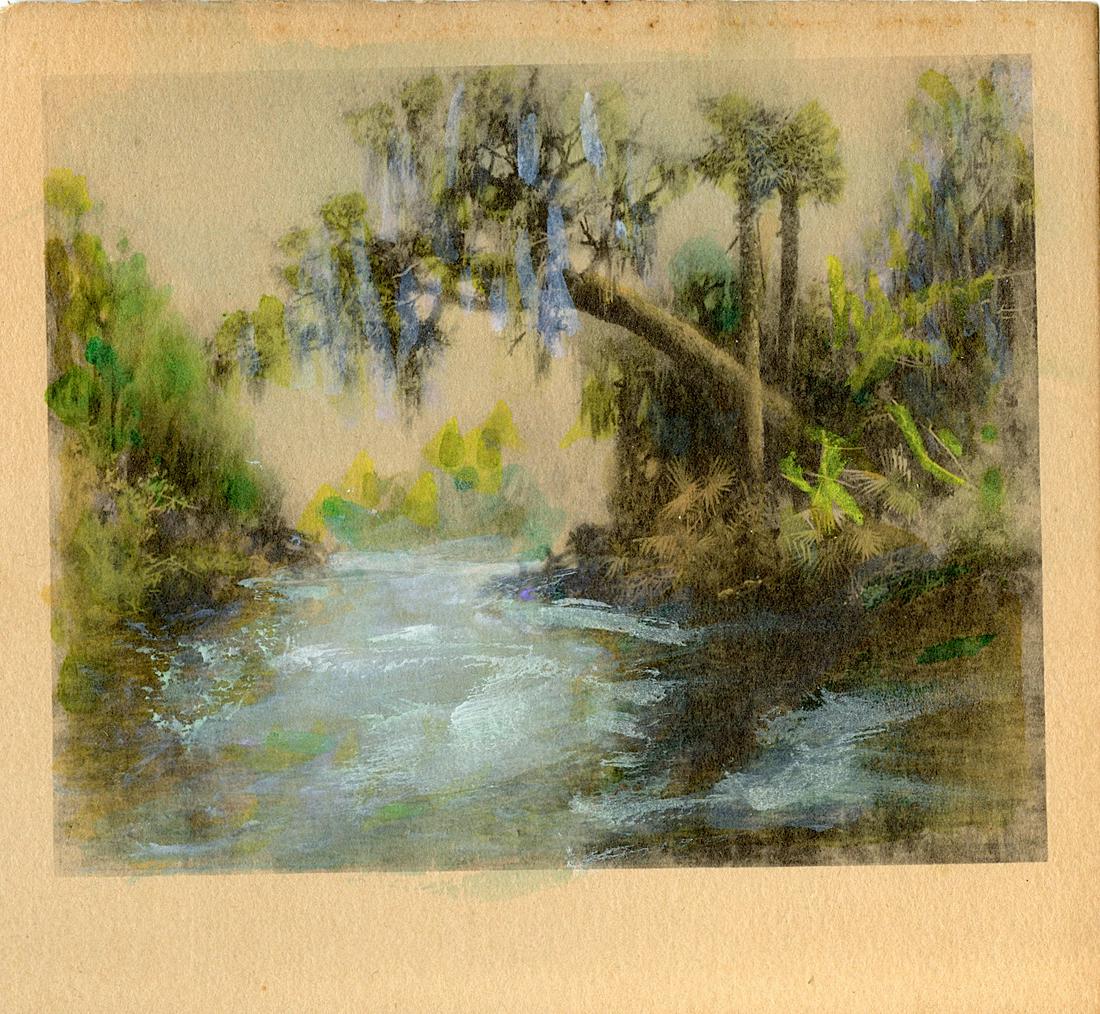 James R. Wilcox Colored Photo Florida Swamscape, 1890s (1 of 2)