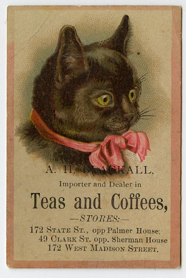Early Rare Black Cat Advertising Card (1 of 2)