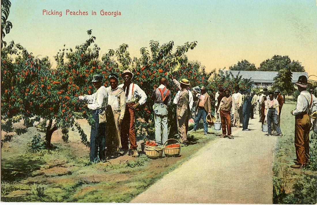 Antique Vintage Rare Postcard African Americana: The dimensions of an antique/vintage postcard are Approx. 6.25"x 11" (small variances can occur). ABOUT SHIPPING: This lot is located in Boca Raton, Fl and its shipment will be made directly by Arteli